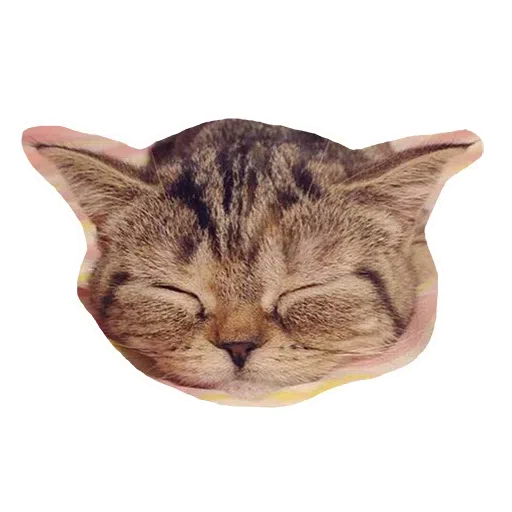 cat - Sticker 4