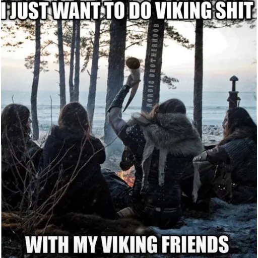 viking - Sticker