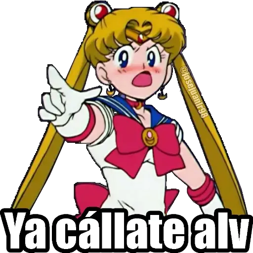 Sailor Moon Memes- Sticker