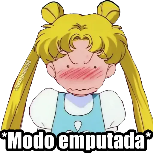 Sailor Moon Memes - Sticker 8