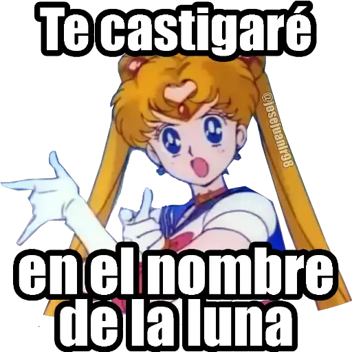 Sailor Moon Memes - Sticker 4